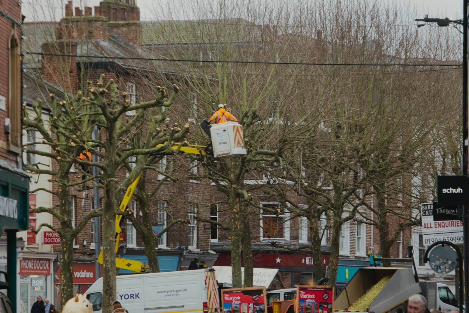 Emergency tree removal Spartanburg SC — 24/7 storm damage response