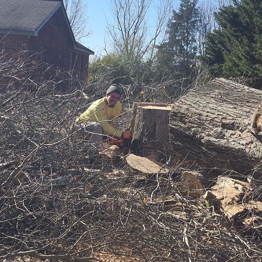 Robert Lydia — Owner of A&R Top Branch Solutions at work in Spartanburg SC