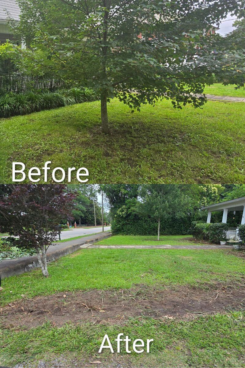 Tree service project Spartanburg SC