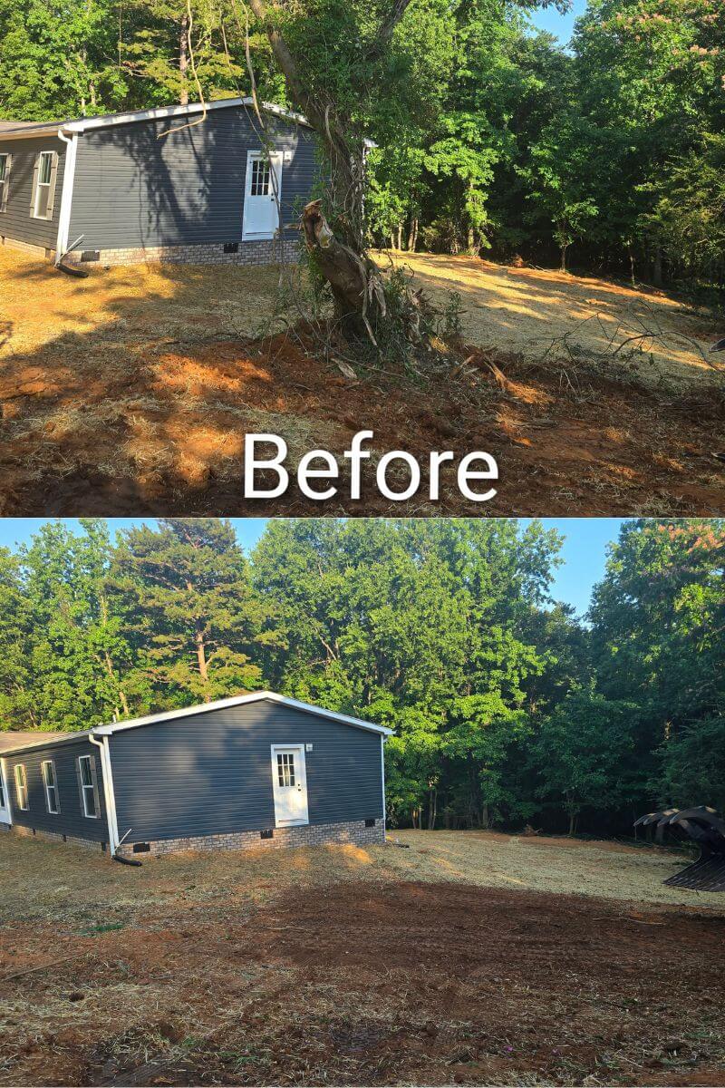 Tree trimming project Spartanburg SC
